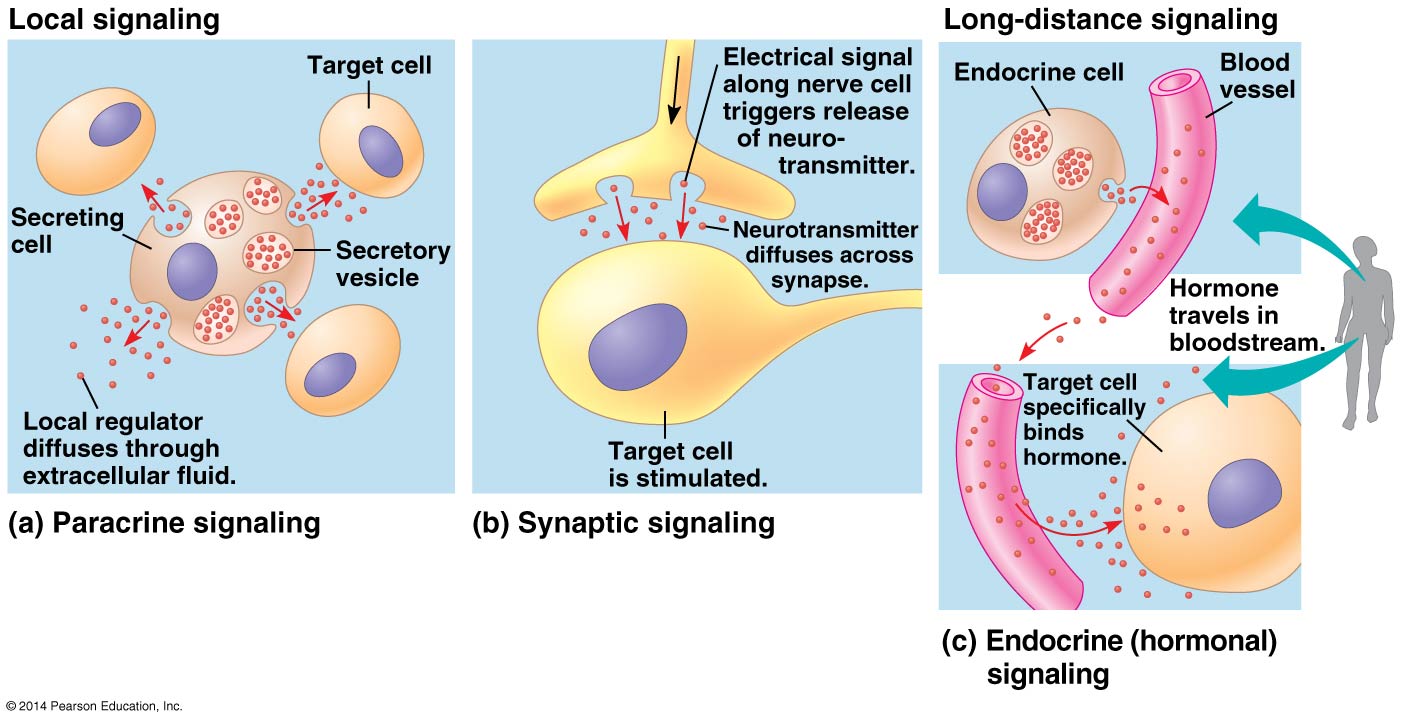 Signaling